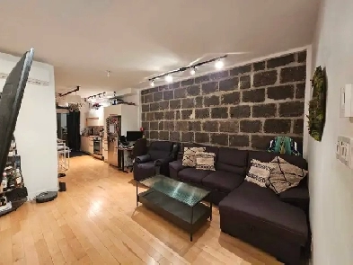 Lease Transfer – 3½ Apartment Next to Jarry Metro