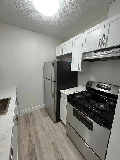 Location Location. Just Renovated 2 Bedroom Apt. 4 December 1st. Image# 1