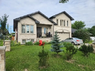 ROOM FOR RENT Image# 1