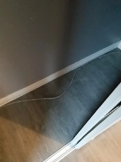 Downtown Oshawa-A clean One Bedroom Apt available for now-$1390 Image# 1