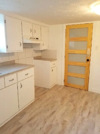 Magog- 3 1/2 meublé à louer Image# 1