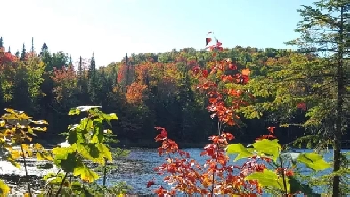 à louer Mont-Tremblant, Lac-Supérieur Image# 2