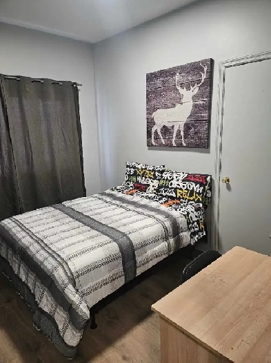 Chambre à louer Image# 1