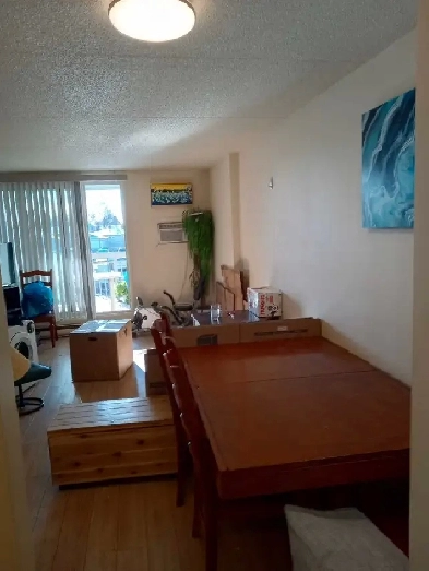 3 bedroom apt for rent. Rent is $1446/month Rent paid until Dec Image# 1