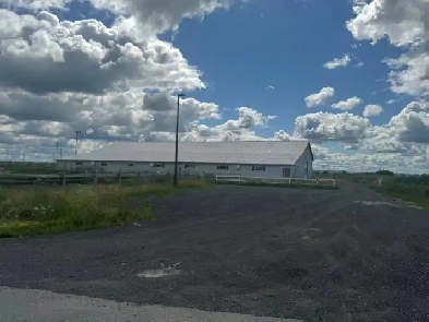 Écurie à louer à Boucherville Image# 2