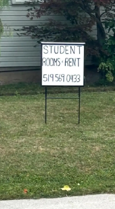 Student Rooms for Rent Image# 1