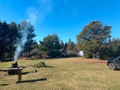 Beautiful South Gillies Acreage (60 Acres) for Sale Image# 8