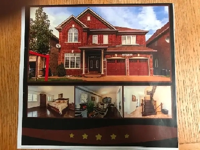 Legal Walk out 2 bed room basement Apt rent from Dec 01, 2025 Image# 1