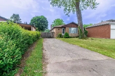 RENT from 1st December, Scarborough, 3 Beds 1 Bath unit $2800/- Image# 1