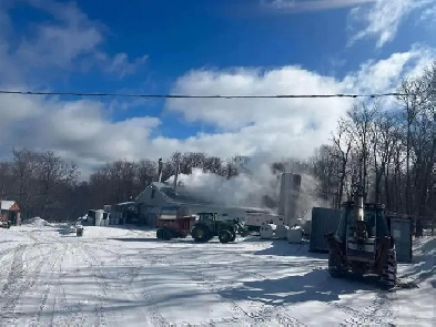 Erabliere à vendre Image# 6