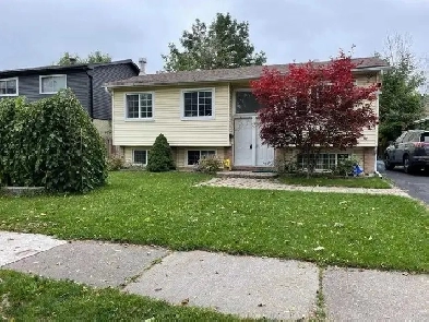 Basement for rent Image# 3