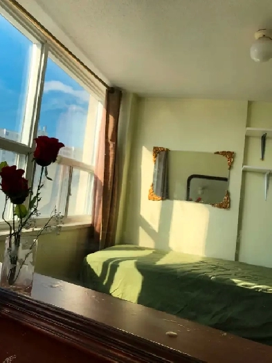 1  BRIGHT COZY ROOMTO RENT  - NORTH YORK - KEELE /FINCH Image# 1