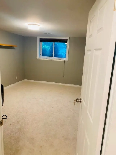Rooms/ Bsmt for rent in Markham rd & hy 7 Image# 1