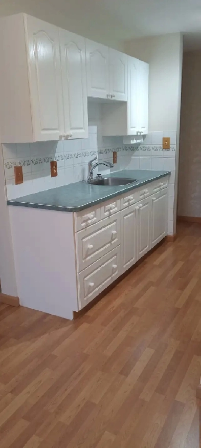 Condo for Rent - Coleman AB Image# 6