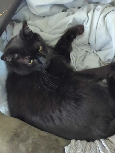 Couple Looking For Room/Bachelor Image# 1