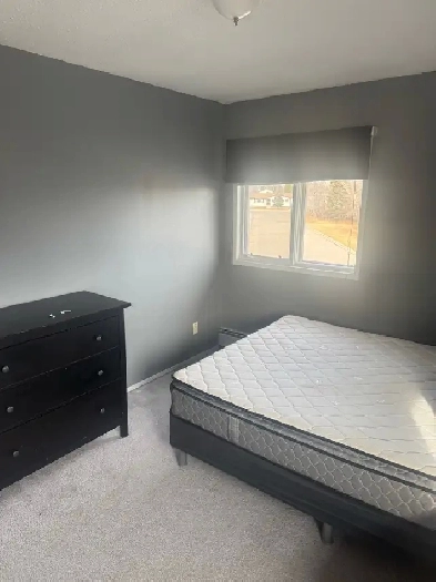 roommate wanted Image# 2