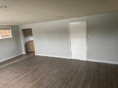 2 Bdrm Basement Suite in Killarney Everything Included Image# 1