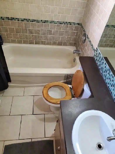 Brentwood room - minutes walk to LRT and U of C Image# 1