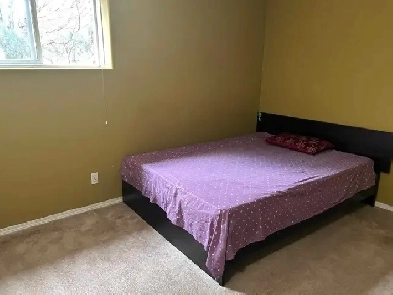 Room for rent near St.Vital Image# 3