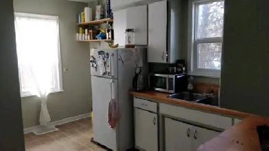 Large 2 Bedroom 1 block to Belgravia LRT, near UofA Hospital Image# 1