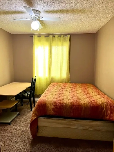 Room for Rent Image# 1