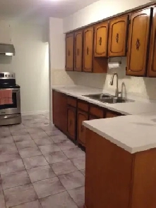 One bedroom in basement, Etobicoke Image# 1