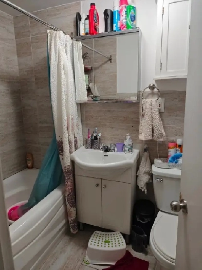 Large renovated 4 1/2 NDG (close Monkland Village) for December