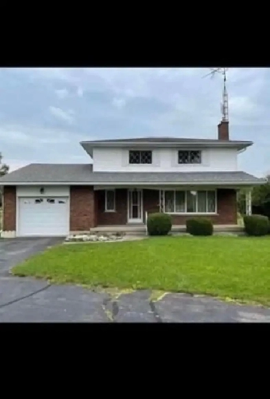 Rooms for Rent or full House for rent In Guelph Image# 1