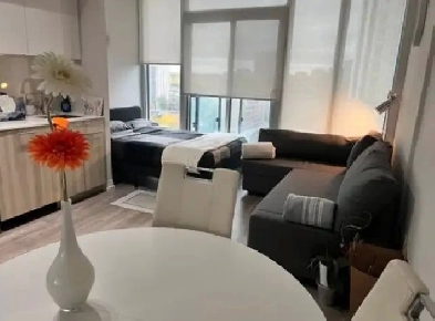 Downtown Toronto AirBnb Image# 1