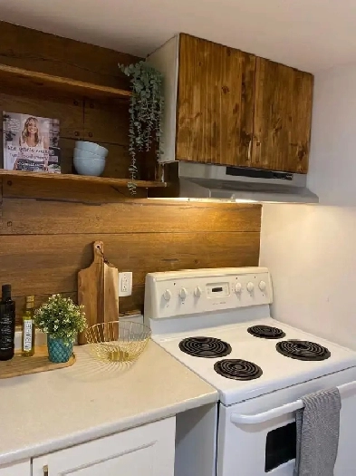 beautiful 1 bedroom apartment for rent Image# 1