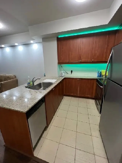 Furnished 1 Bedroom Condo Near Square One Dec 01 Image# 1