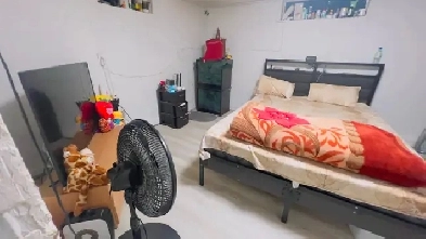 1 Bedroom 1 Bathroom Bacement for rent. Image# 1