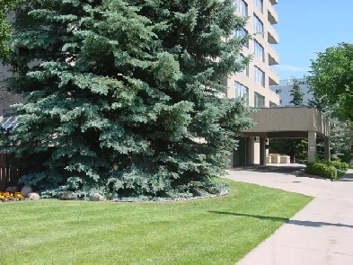 Beautiful 2-Bedroom Apartment Close to Downtown for Rent Image# 1