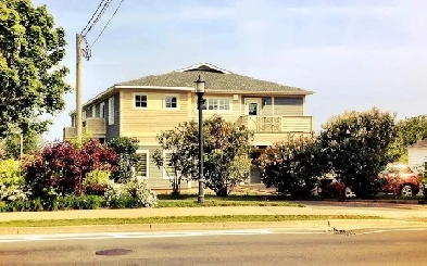 Appartement à louer Image# 2