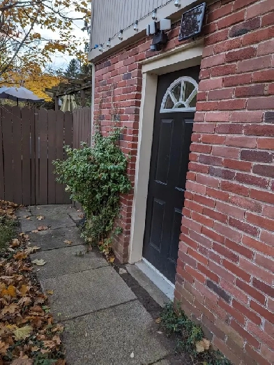 RENTAL FONTHILL,  BSMT. $1395. DEC 1  289 897 9703 Image# 1