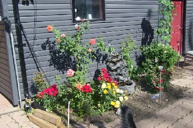 5 BEDROOM FAMILY HOME WITH 2 BEDROOM IN-LAW SUITE Image# 3