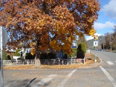 407 10AVE. NORTH, CRESTON B.C. V0B1G4 Image# 7