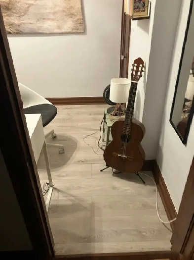 chambre à louer rosemont petite-patrie Image# 1