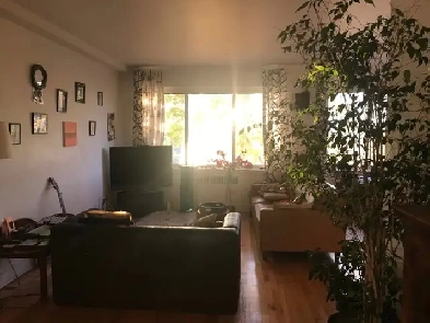 Beautiful open space, furnished apartment Image# 1