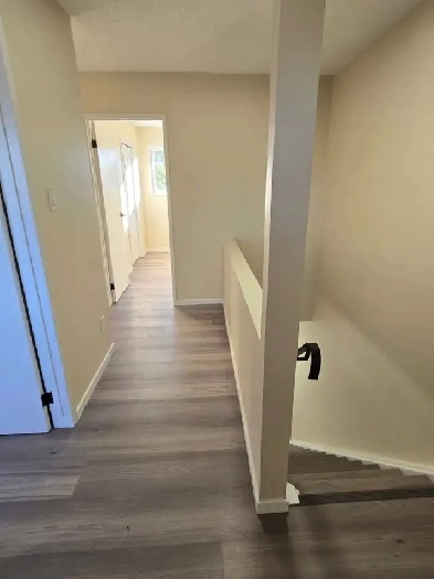 Full House for Rent (Great neighborhood, newly renovated) Image# 1