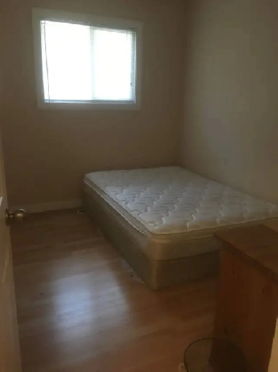 basement room close to SAIT for male Image# 1