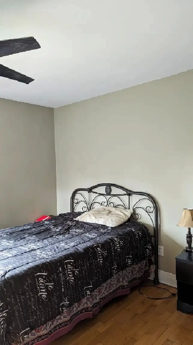 Room for rent for December First  Best location Image# 1