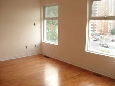 Young Professional or International Student on 24 HR transit Image# 1