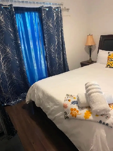 Private Room and Bath For Rent Image# 1