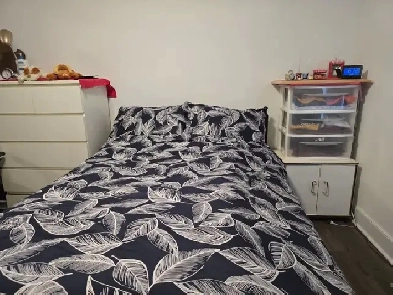 Shared apartment for rent Toronto  / Immediately Image# 1