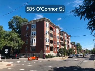 1 Bedroom Glebe Apartment for Rent (585 O'Connor St) Image# 1