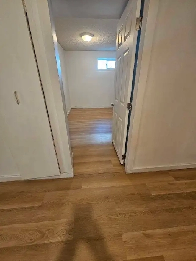 spacious 2 bedrooms basment suite for rent Image# 1