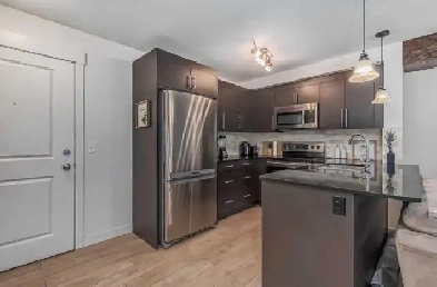 1 Bedroom - Apartment for rent (Skyview Ranch) Image# 1