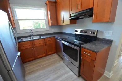 Renovated 1-bedroom - Avail Jan - 31 Maple Image# 6