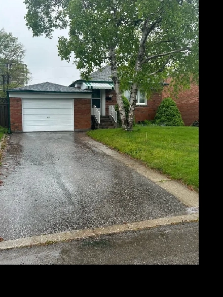 Scarborough Basement Unit For Rent Image# 1